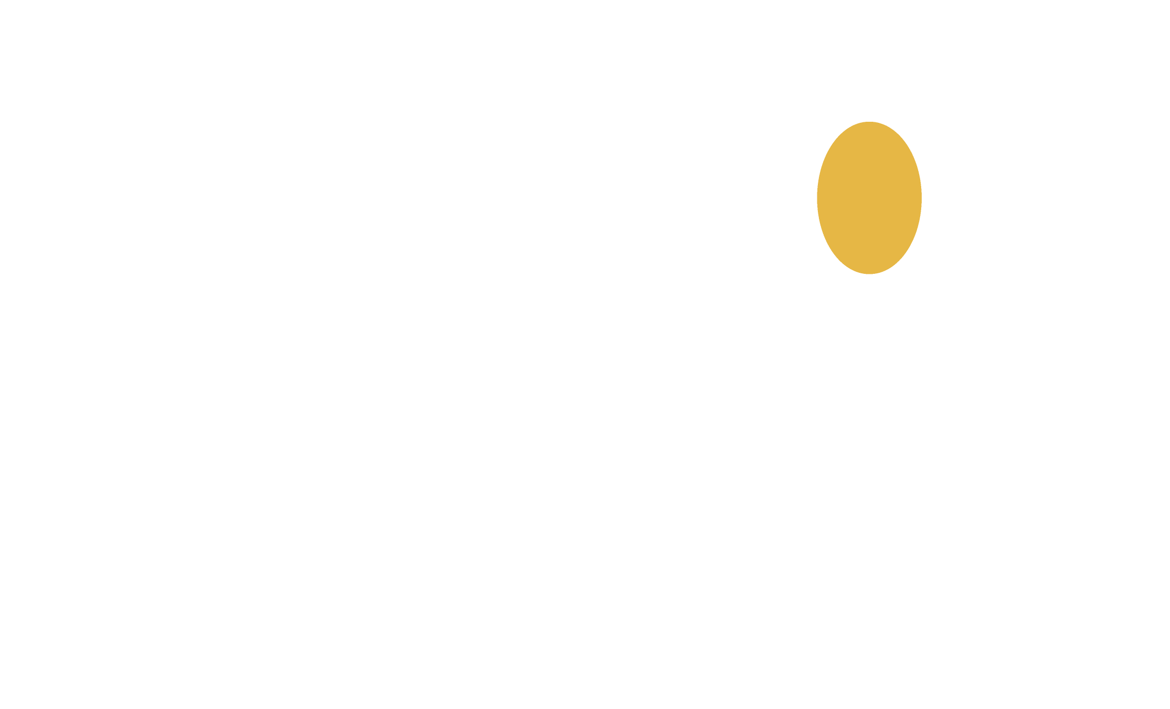 logo dark